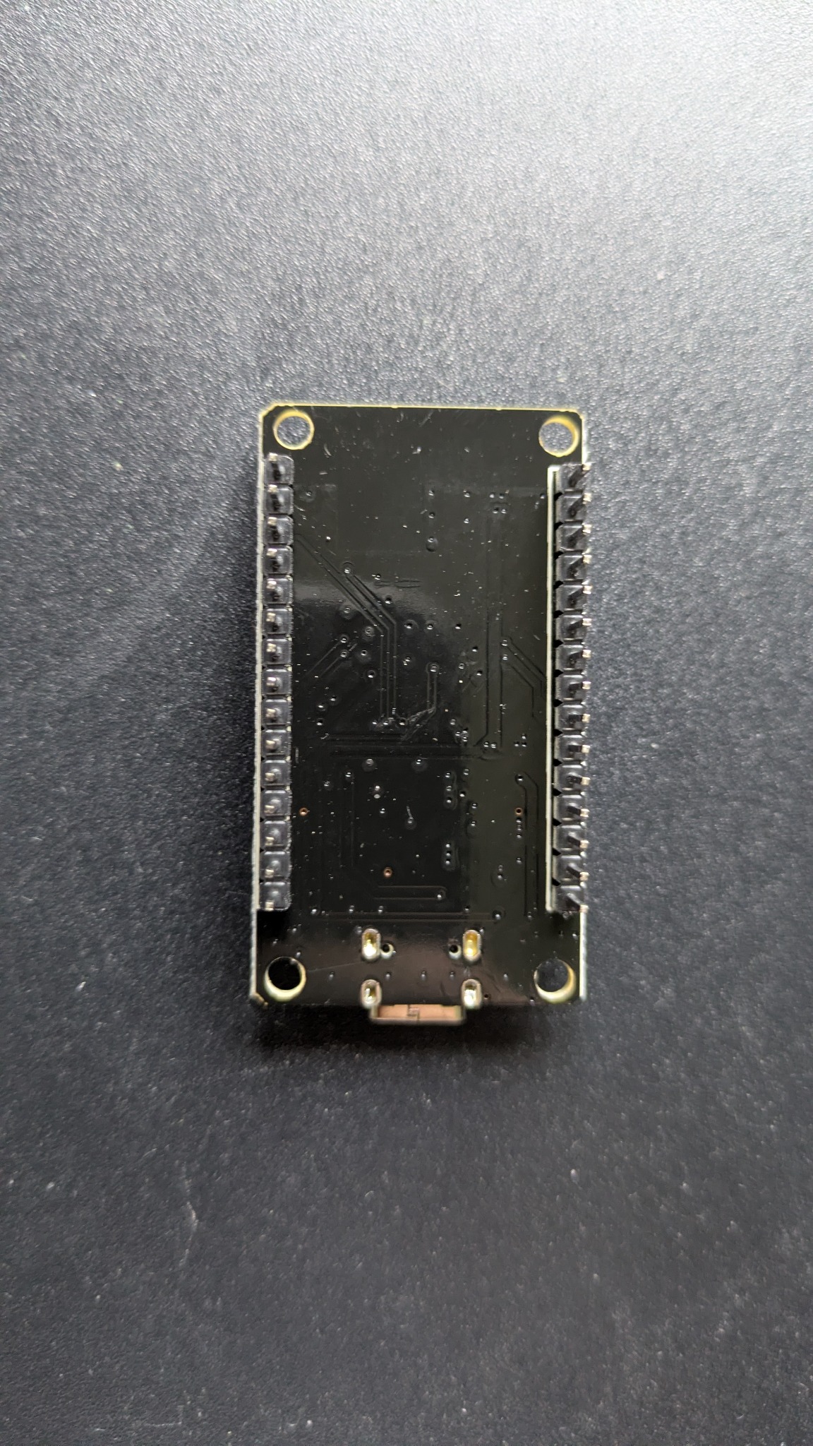 ESP32 board rear view